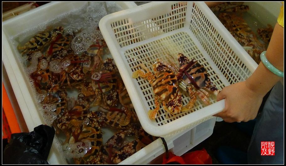 三亚最便宜的海鲜市场_三亚海鲜市场_威海荣成海鲜市场