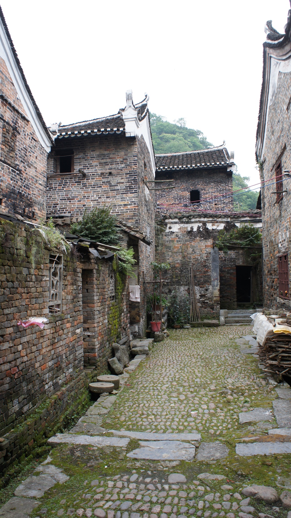 走进秀水"瑶族"状元村