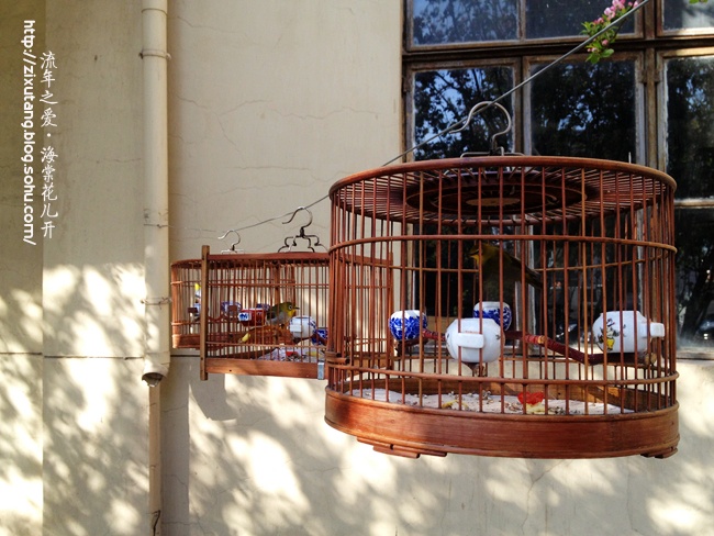 【流年之爱】甘瓜苦蒂,物无全美