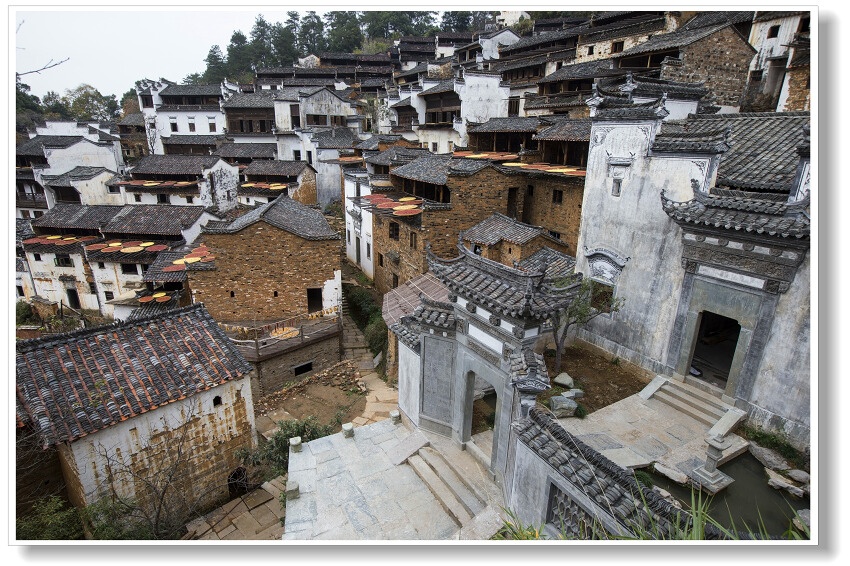 婺源秋韵之江岭,篁岭,洪村篇