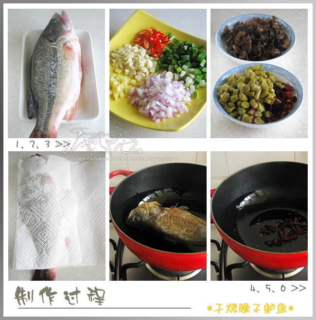 川菜之干烧酸辣臊子鲈鱼 - 草原恋 - 草原恋的图片博客 川菜之干烧酸辣臊子鲈鱼 - 草原恋 - 草原恋的图片博客