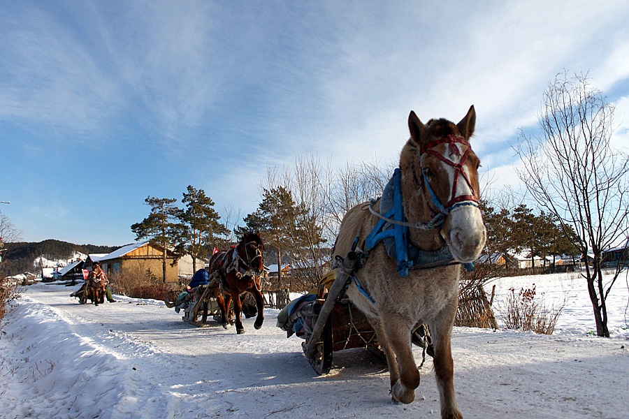 在中国最北村庄体验冰雪魅力