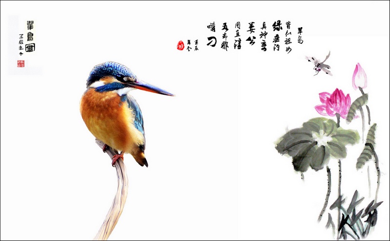 画意翠鸟