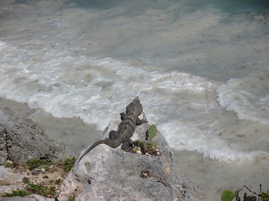 世界上唯一建筑在海岸边的玛雅金字塔(Tulum)金字塔 - sihaiyunyou - sihaiyunyou的博客 世界上唯一建筑在海岸边的玛雅金字塔(Tulum)金字塔 - sihaiyunyou - sihaiyunyou的博客