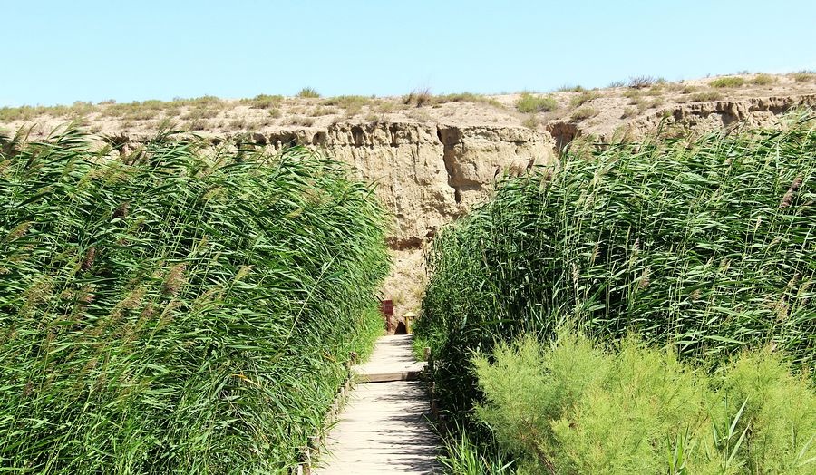 宁夏旅游景点水洞沟2
