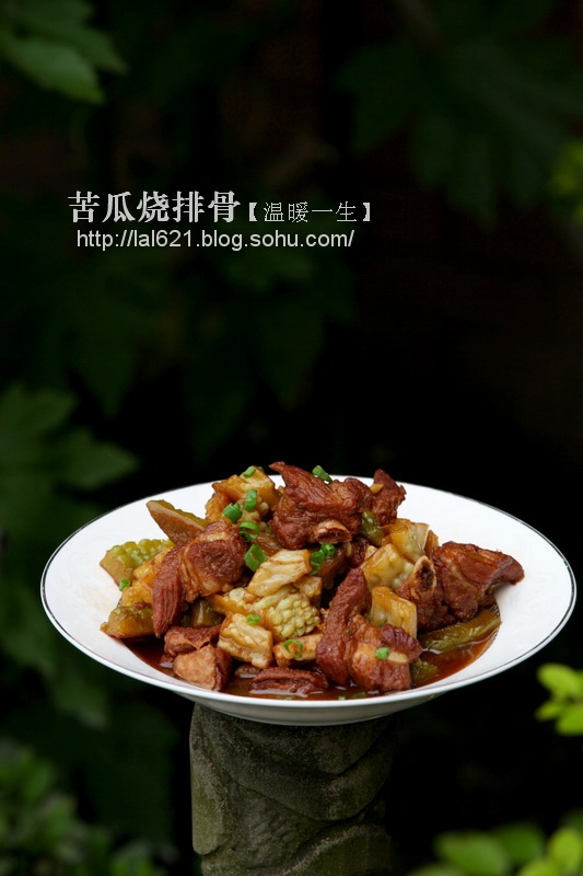 清火不油腻的夏季好菜----苦瓜烧排骨 - 慢美食 - 慢 美 食 清火不油腻的夏季好菜----苦瓜烧排骨 - 慢美食 - 慢 美 食