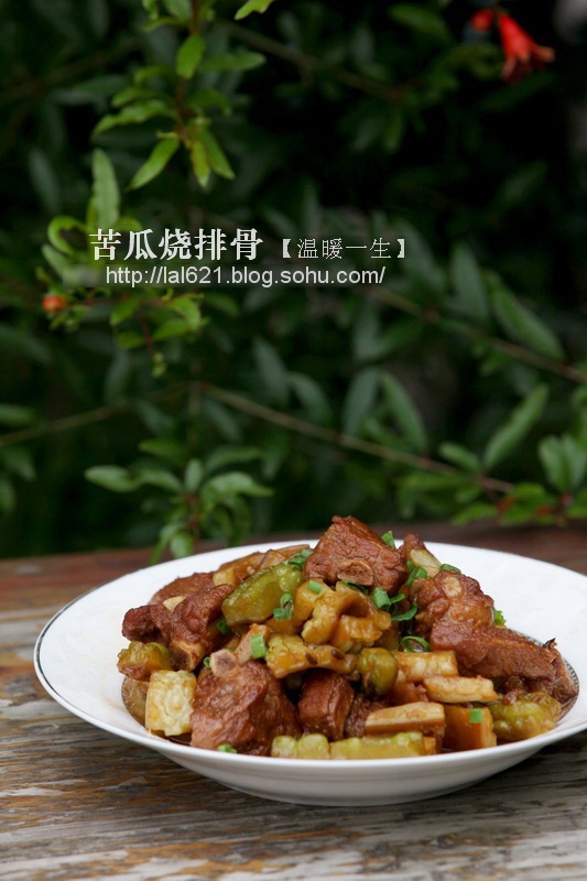 清火不油腻的夏季好菜----苦瓜烧排骨 - 慢美食 - 慢 美 食 清火不油腻的夏季好菜----苦瓜烧排骨 - 慢美食 - 慢 美 食