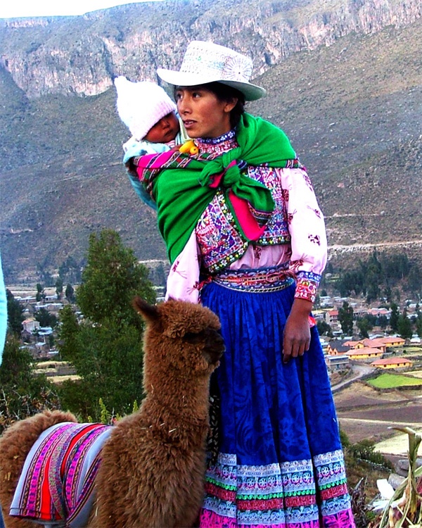 秘鲁的高山,驼羊和梯田 - sihaiyunyou - sihaiyunyou的博客