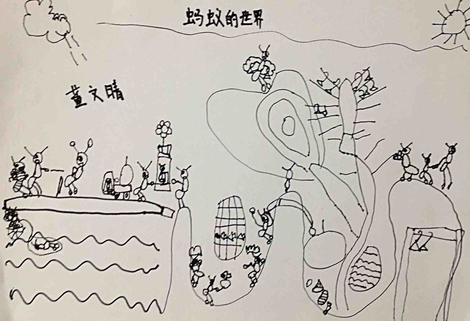 蚂蚁的世界5—7岁