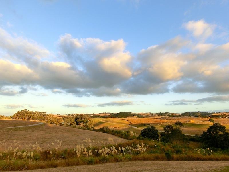 【行行摄色】徜徉在奥克兰东区的那片旷野那片