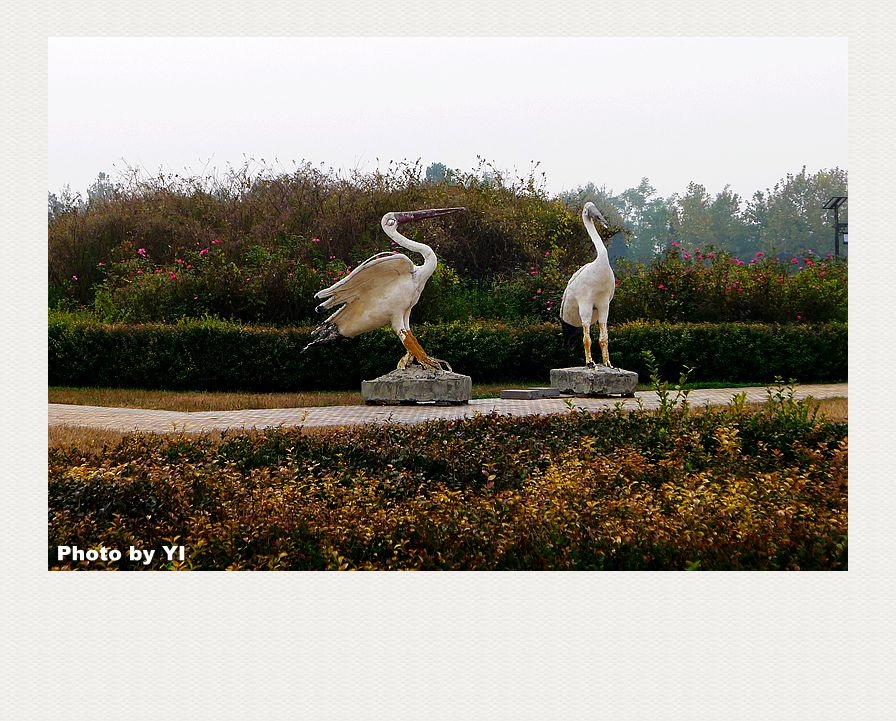 危楼高百尺猜成语欲穷千里目更上一层楼(2)