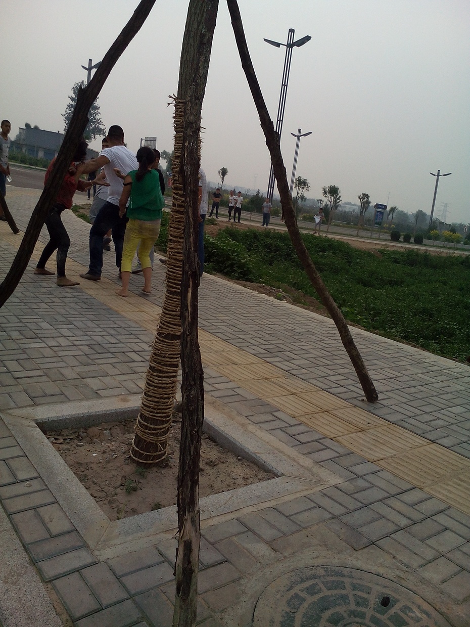 圈子 - 谁来管管?还让不让老百姓活,自己的父母