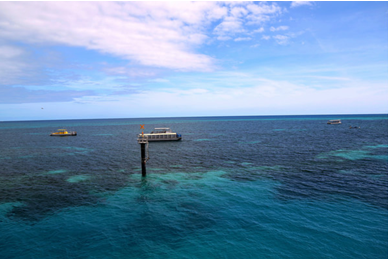 梦幻海岛--凯恩斯 - 驴行天下 中牟信息港|中牟第