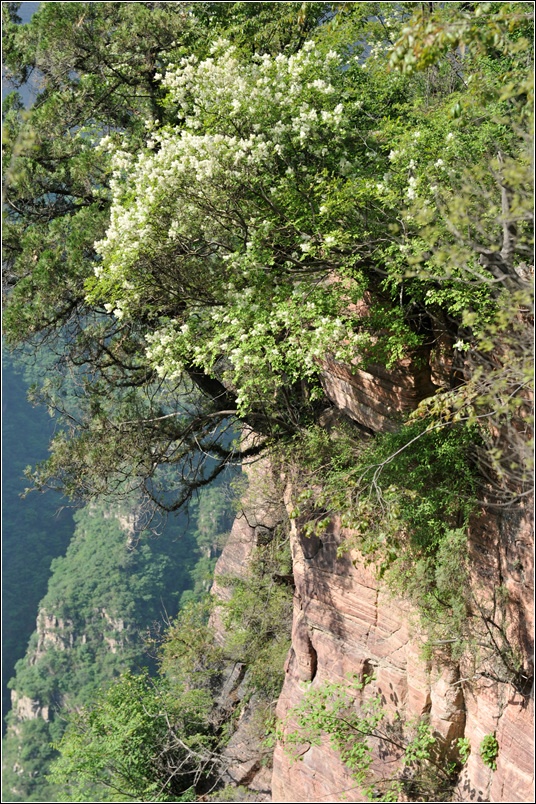徒步南太行 漫步九莲山