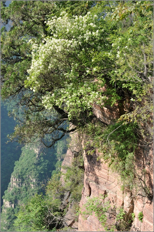 徒步南太行 漫步九莲山