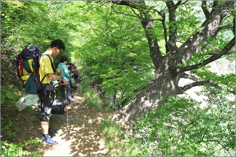 徒步南太行 漫步九莲山