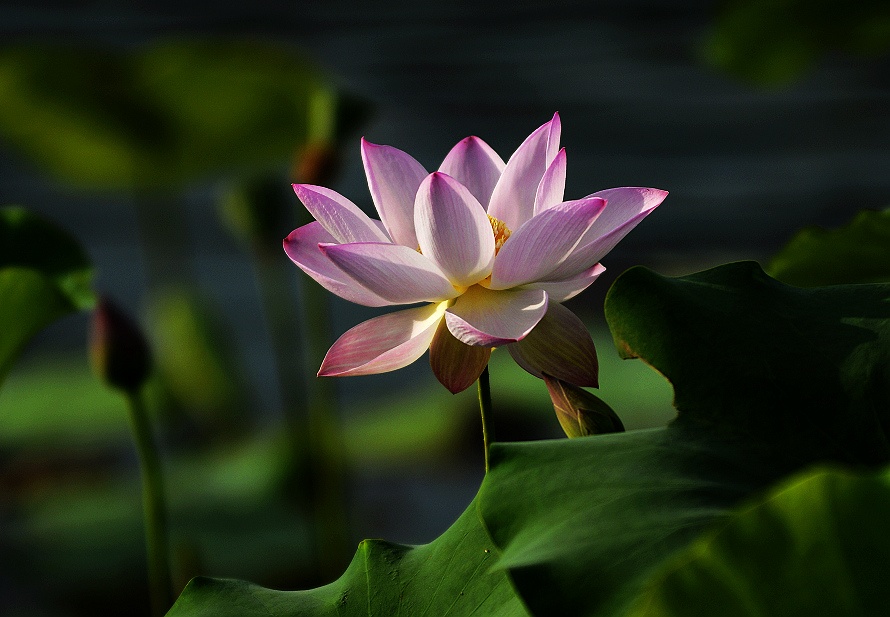 哥哥,来世我们还做兄弟<em>姐妹</em>,只有成为亲戚<em>结婚</em>