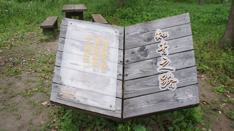 骑行崇明岛东平国家森林公园 - 余昌国 - 我的博客 骑行崇明岛东平国家森林公园 - 余昌国 - 我的博客