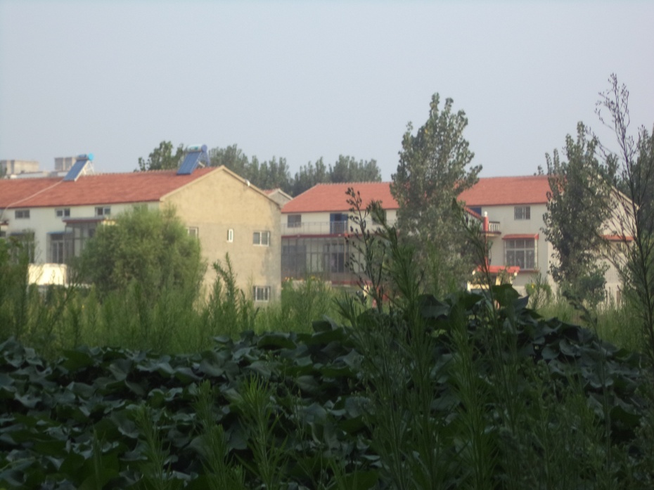 典型的北方二层半瓦房,富裕起来的农村大多都装上了太阳能.