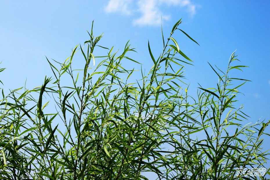 【北京】青龙湖公园景色真美