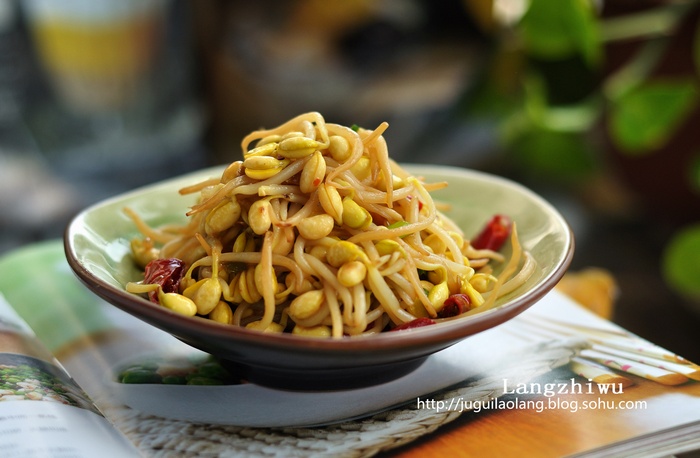 干煸黄豆芽 --- 好吃易做的入门级家常菜-狼之舞