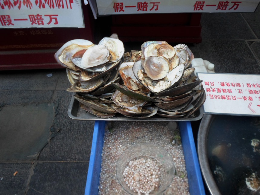 随我一起逛逛天津古文化街,了解独特的天津文化 - sihaiyunyou - sihaiyunyou的博客 随我一起逛逛天津古文化街,了解独特的天津文化 - sihaiyunyou - sihaiyunyou的博客