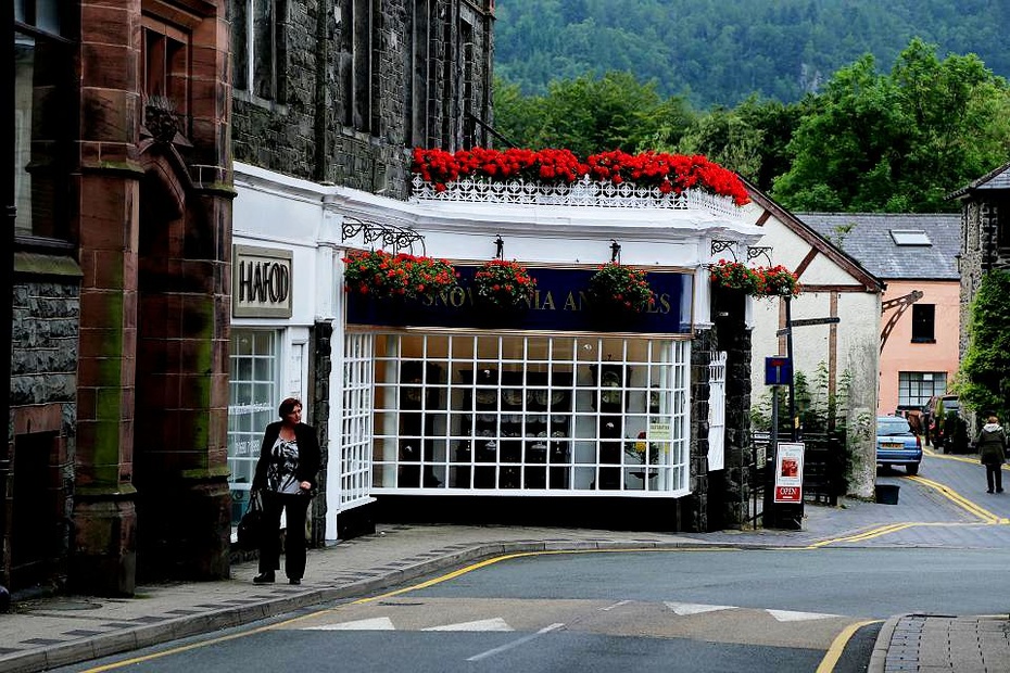 被绿色抱紧的兰鲁斯特茶屋