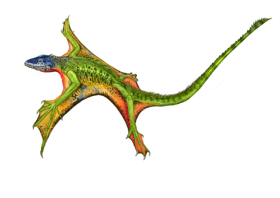 各种恐龙恐龙翼龙剑龙雷龙鸭嘴龙山蛟龙霸王龙卡通