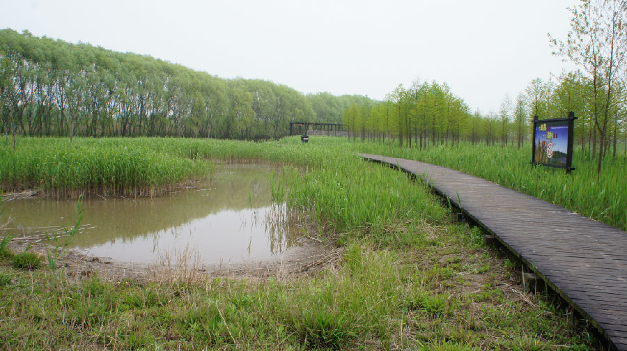 崇明岛国家地质公园西沙湿地