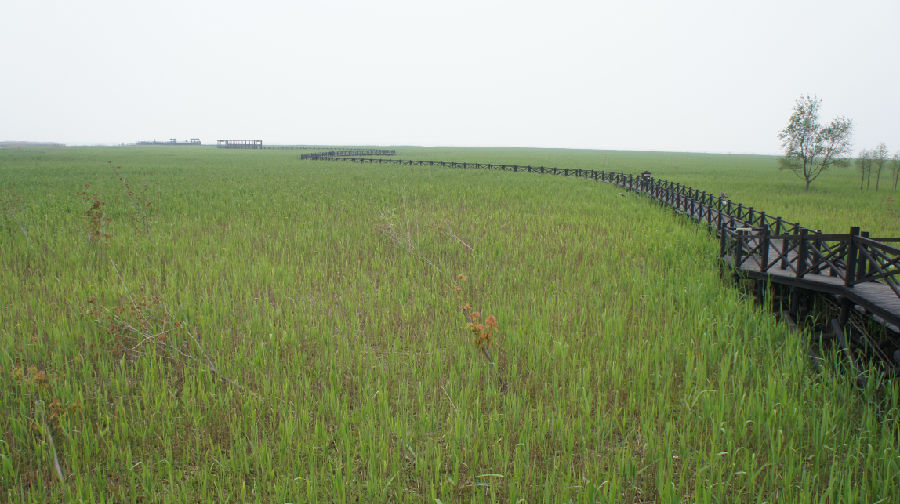 崇明岛国家地质公园西沙湿地