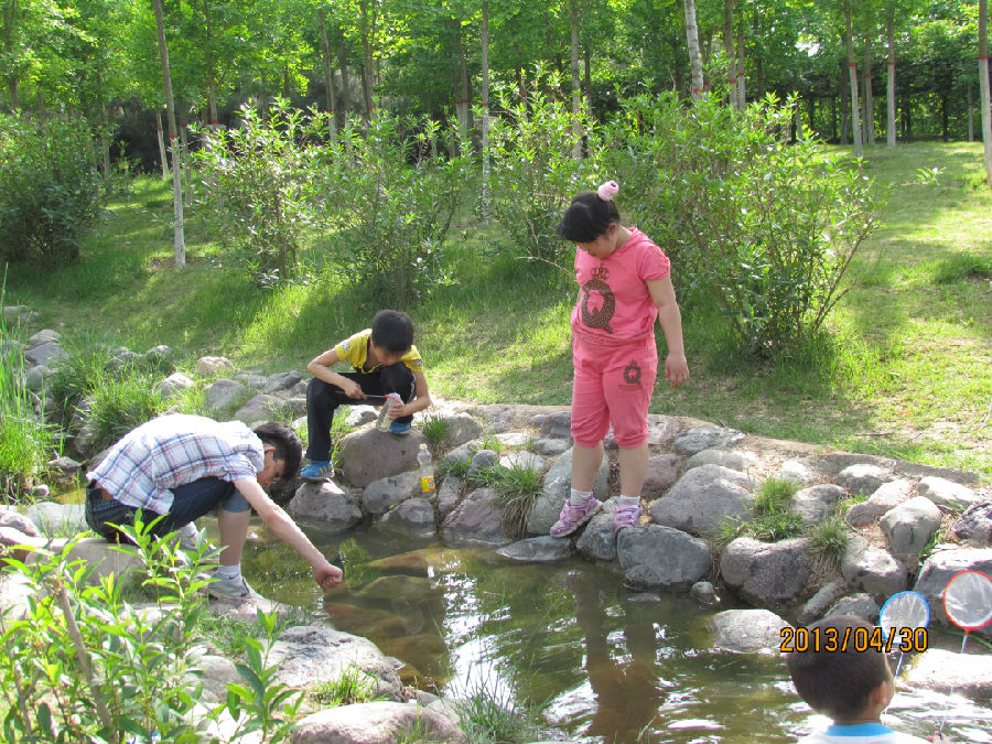 郊游(看图写话)