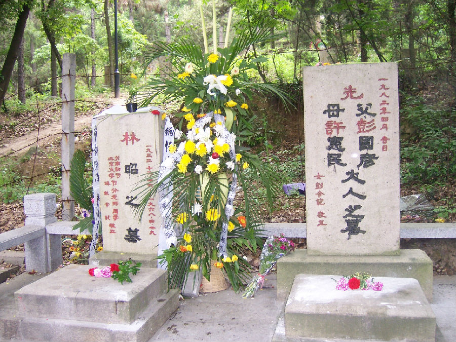 2009年林昭墓前.