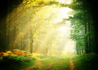 怎样才能静心学习看书呢?