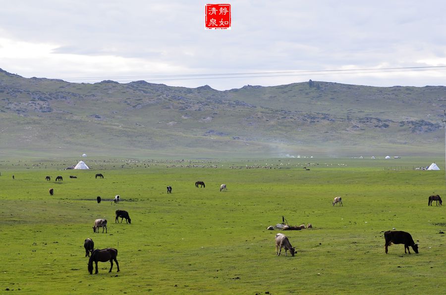 【组图】【深氧界的夏天】去阿尔泰山脚下牧马放羊_搜狐旅游_搜狐网