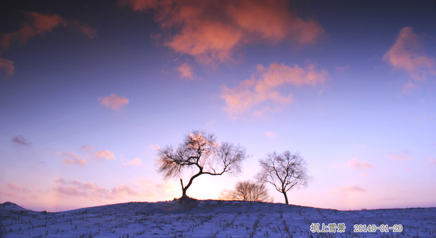到乌兰布统坝上草原拍雪景 - H哥 - H哥的博客 到乌兰布统坝上草原拍雪景 - H哥 - H哥的博客