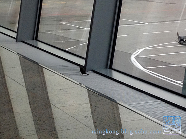 ���� �������