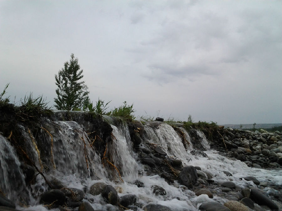 仲夏是几月_仲夏是农历几月_仲夏是指农历几