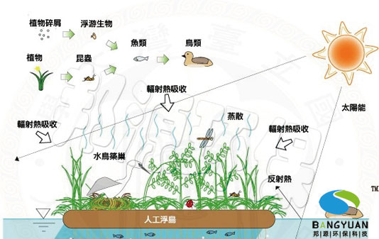 人工生态浮岛的生态意义