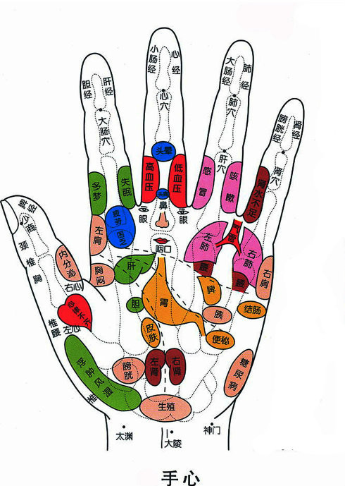 白发变黑--按摩小指头【转】