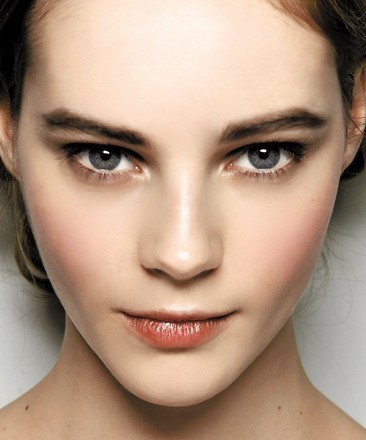 兰博基尼毒药_毒药收入