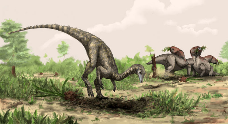 胡德良 译 一个古生物学研究小组认为:他们发现了最早的已知恐龙——一种生活在2.43亿年前的动物,体型比拉布拉多猎狗还要小。这比已知的最古老恐龙还要早至少1000万年,可能会改变研究人员对恐龙进化方式的看法。但是,一些科学家,包括研究论文的作者们,警告说:那些化石也可能代表着恐龙的近亲。 跟踪研究最早的恐龙并不是一件容易事,那么古老的化石通常是支离破碎的,而且研究人员通常对它们的进化谱系持有不同的观点。然而,古生物学家们的确一致认为:在阿根廷发现的小型标本可以追溯到2.