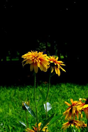 你是怎样理解泪水和着雨水,从我的脸上流淌下