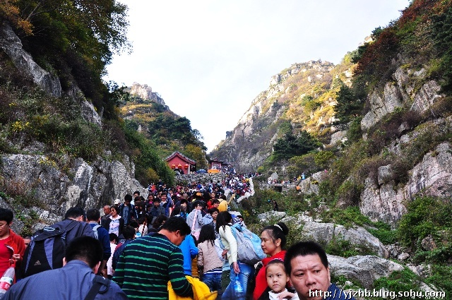 攀登---泰山顶上渡国庆