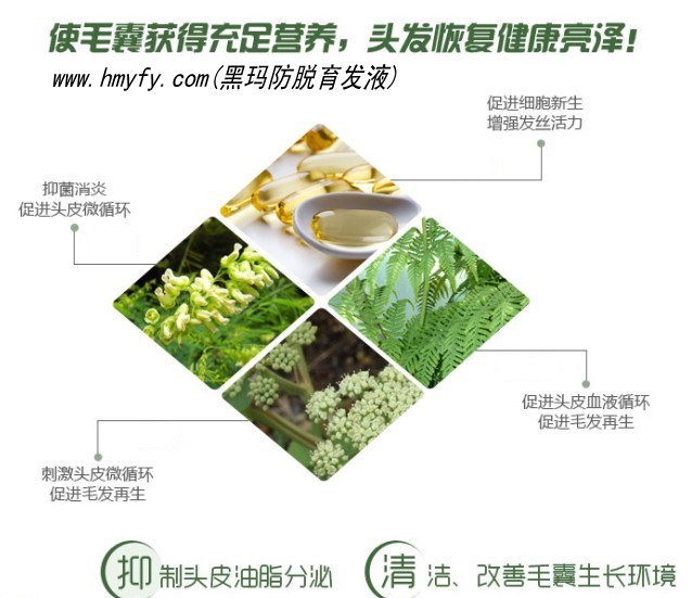 赣州<em>掉头发的治疗方法</em>-首商网