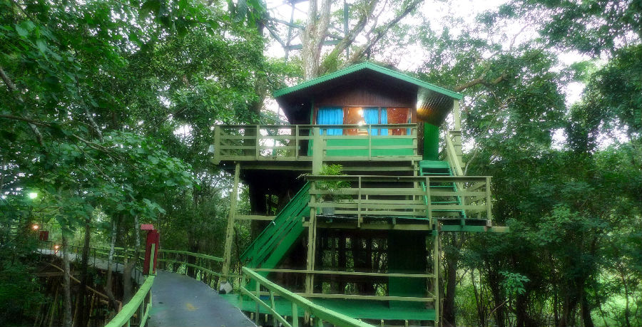 巴西亚马逊的树顶酒店 - 余昌国 - 我的博客
