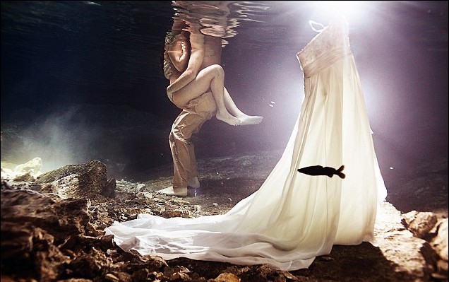 水里婚纱照_水里的动物图片