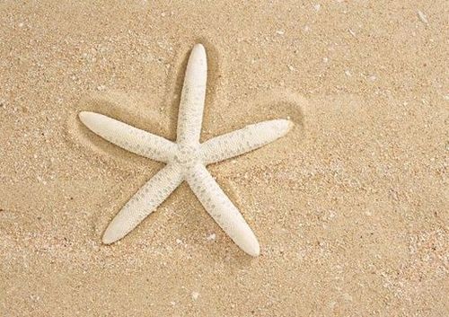 爱情无须匆忙,该来的总会来,在对的时间,和对的