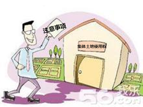 集体土地使用证_集体土地转让收入(2)