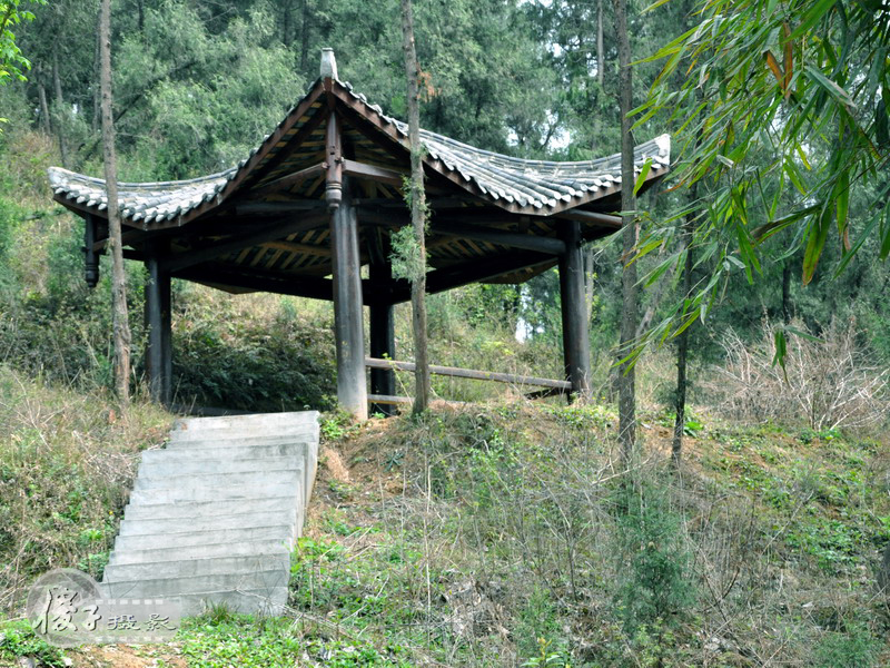 淡什么浓什么成语_成语故事简笔画(3)