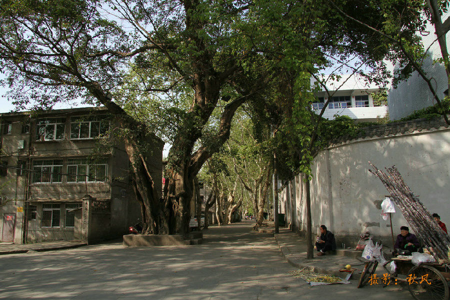 【谈笑人生】休闲古宅品阆中 - 谈笑人生 - 麻辣